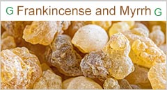 Guul Group Somaliland Investment Frankincense and Myrrh